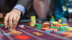 AVOCADO CASINO